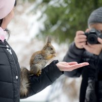 Совсем ручные... :: Mc!! .....