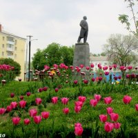 Апрель :: Нина Бутко