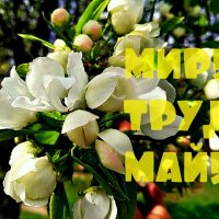 С праздником  1 Мая поздравляю друзья ! :: Михаил Столяров