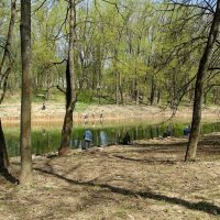 Любители рыбной ловли на пруду в городском парке. :: Милешкин Владимир Алексеевич 