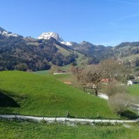 Весна в Швейцарии... :: mirtine 