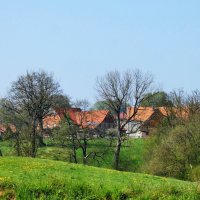 Деревня и деревья :: Heinz Thorns