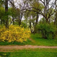 Ботанический сад весной :: Галина Бобкина