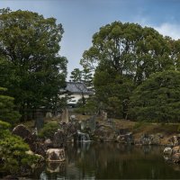 Сад камней в замке сёгуна Нидзё в Киото (2) :: Shapiro Svetlana 