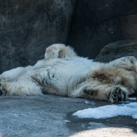 Жизнь удалась! :: Владимир Безбородов