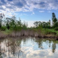 На берегу водоема.. :: Юрий Стародубцев