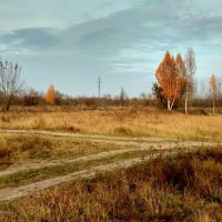 осенний луг :: Александр Прокудин