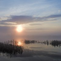 Восторг был обоюдным. :: Наташа Баранова