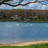 Городское водохранилище :: Игорь Сикорский