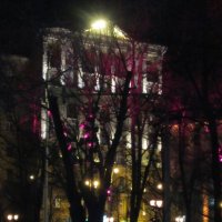 Яркий свет ночей московских :: Дмитрий Никитин