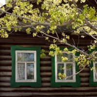 Опять весна на белом свете... :: Ната Волга