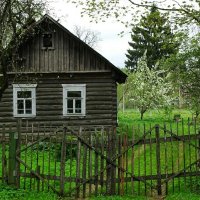Домик в деревне :: Милешкин Владимир Алексеевич 