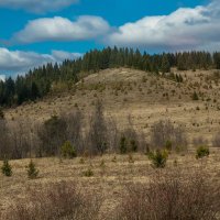 Путешествие под знаком орла.(Нижний - Булгары) :: юрий макаров