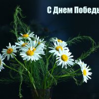 С Днем Победы! :: Светлана 