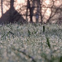 Весна :: Роман Савоцкий