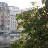 Весна в Париже .... :: Алёна Савина