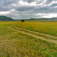 весенние краски :: Хаджимурад Саидов