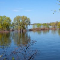 Солнечный май :: Виктор Замулин