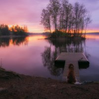 Свет и смысл :: liudmila drake