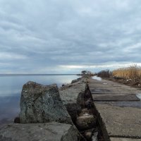 Зеленогорск. Устье Чёрной Речки. :: Лариса (Phinikia) Двойникова