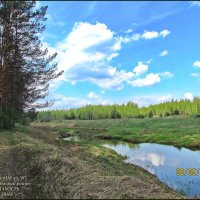 Гаврилов-Ямский район-"ЯРОСЛАВИЯ" :: Владимир ( Vovan50Nestor )