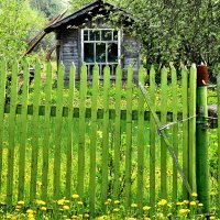 Самый модный цвет весной. :: Татьяна Помогалова