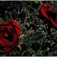 В мире красных роз :: Нина Корешкова