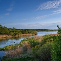 весенние дали... :: Натали Акшинцева