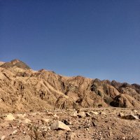 Sinai peninsula :: Tatiana Kretova