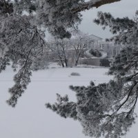 Зима в екатерининском парке. :: Харис 