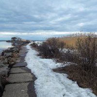 Зеленогорск. Устье Чёрной Речки. :: Лариса (Phinikia) Двойникова