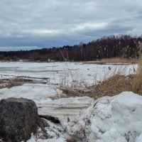 Зеленогорск. Посёлок Чёрная Речка. :: Лариса (Phinikia) Двойникова