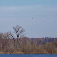 Путешествие под знаком орла.(Нижний - Булгары). :: юрий макаров