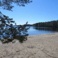 Национальный парк Коли (Финляндия, Северная Карелия) :: Елена Павлова (Смолова)
