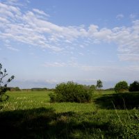 Вечерний пейзаж. :: Антонина Гугаева