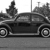 VW Beetle Second Series :: M Marikfoto