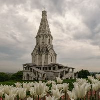 Москва. Коломенское. :: Надежда Лаптева