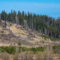 Путешествие под знаком орла.(Нижний - Булгары). :: юрий макаров