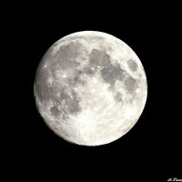 Луна принадлежит всем, и каждый из нас имеет право на нее выть! :-) :: Андрей Заломленков
