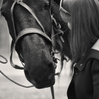 horse :: Ирина Секачева