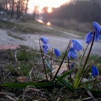 Весна :: Роман Савоцкий