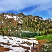 майский альпийский пейзаж :: Elena Wymann