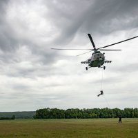 "Стрекоза и муравьи" :: Вячеслав Трояновский