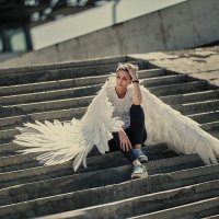 wings :: Vitaliy Dankov