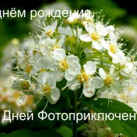 Поздравление! :: Ильсияр Шакирова