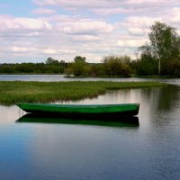 В травах застывшие росы,лодка и тишина... :: Нэля Лысенко