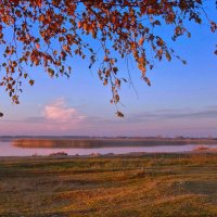 В ласковых лучах заката! :: Елена Хайдукова  ( Elena Fly )