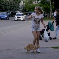 Девочка с котом.. :: Алексей Архипов