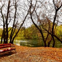 скамейка в осеннем городском парке :: Гера Dolovova