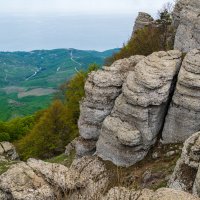 на южном склоне Демерджи :: Андрей Козлов